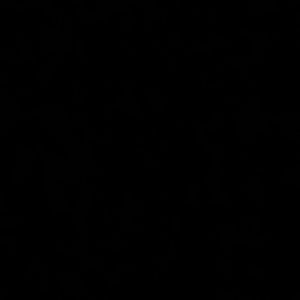 Meet your Posher, Ally